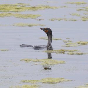 186188292_10157953816165108_1251779140268248724_n