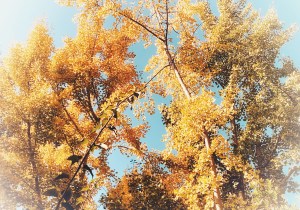 FullSizeRender 4 2 FullSizeRender 4 2