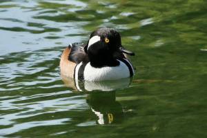 254019386_10223221685244006_6458711855314870393_n