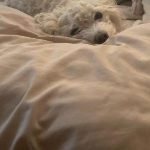 242845552_10158185347325108_6581707267878541171_n