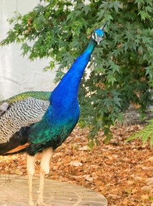 5E5B5FDF-DD2F-4C49-9E03-77F6E067A92E