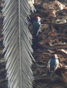 270111571_10158338830555108_7272733409014260031_n