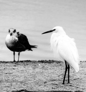 FullSizeRender FullSizeRender