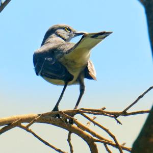 171988032_10157890891760108_7608091335782270340_n