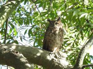 195067816_10158000076920108_793553414747076788_n