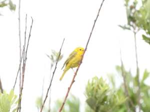 198137863_10158009804670108_8244065746107169148_n