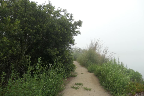 196492011_10158009804080108_2251331830326882881_n