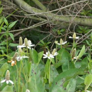 193214627_10158010333485108_90536897521733470_n