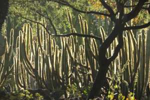 270111571_10158338830555108_7272733409014260031_n