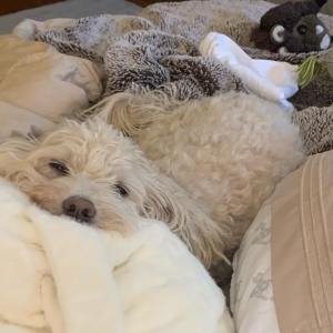 247390568_10158234832005108_4387576657454450443_n