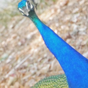 5E5B5FDF-DD2F-4C49-9E03-77F6E067A92E