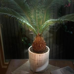 244123491_10158196239440108_5253563668115607313_n