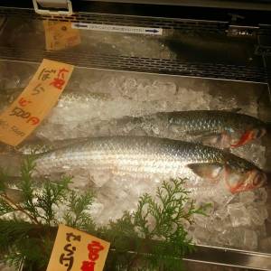 246035371_4356729537774899_3711771892474732592_n