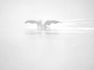 197011599_10158009804320108_8862663662246559706_n