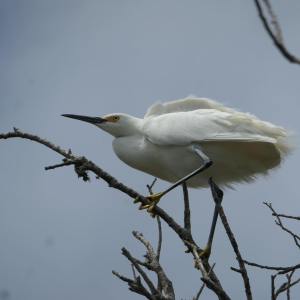 199669272_10158010333475108_3070285356365086350_n