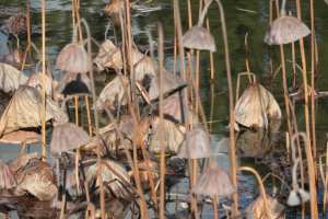 270188338_10158338831345108_2740504906974405679_n