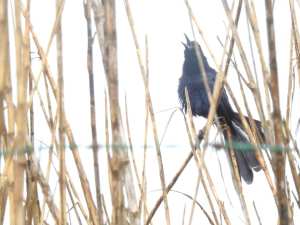 197183446_10158009804695108_8504954891560352310_n