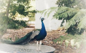 5E5B5FDF-DD2F-4C49-9E03-77F6E067A92E