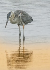 FullSizeRender FullSizeRender