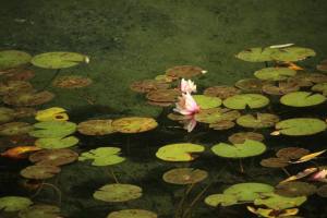 254019386_10223221685244006_6458711855314870393_n