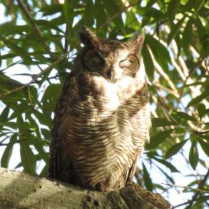 192705245_10158000047310108_7901526289292196890_n