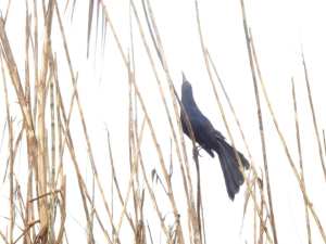 197183446_10158009804695108_8504954891560352310_n