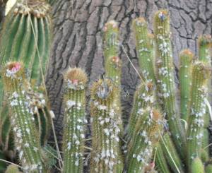 270188338_10158338831345108_2740504906974405679_n