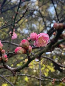 270111571_10158338830555108_7272733409014260031_n