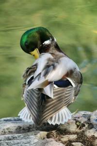 254019386_10223221685244006_6458711855314870393_n