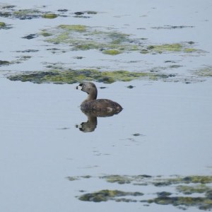 186052635_10157953816130108_5227608202762580624_n