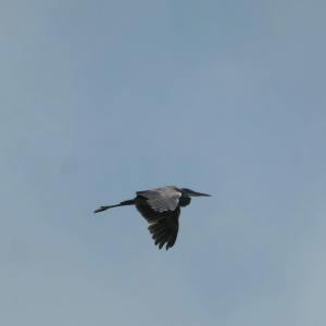 193214627_10158010333485108_90536897521733470_n