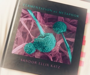 6a00d834535cc569e20263e98729e8200b