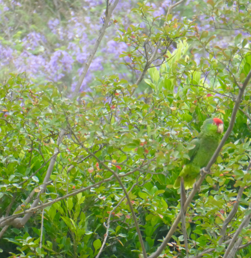 6a00d834535cc569e20264e2ecaa06200d