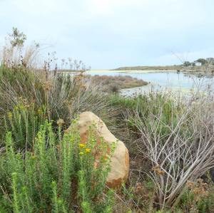 184021789_10157953816140108_5115801129722181253_n