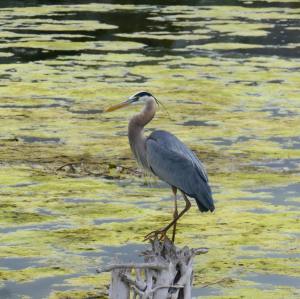 183899963_10157953816150108_9047526629043940406_n