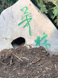 122452874_10157522591505108_1076848933354244752_o