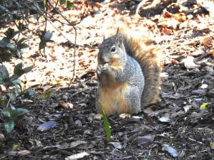 270188338_10158338831345108_2740504906974405679_n